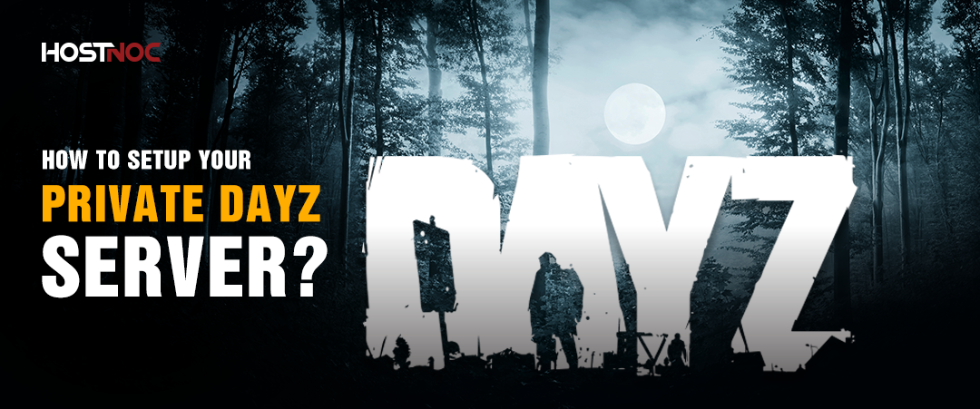 private dayz server
