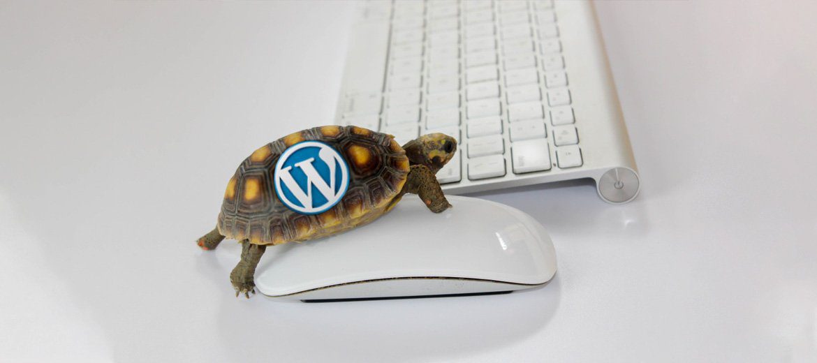 WordPress Website Is Slow