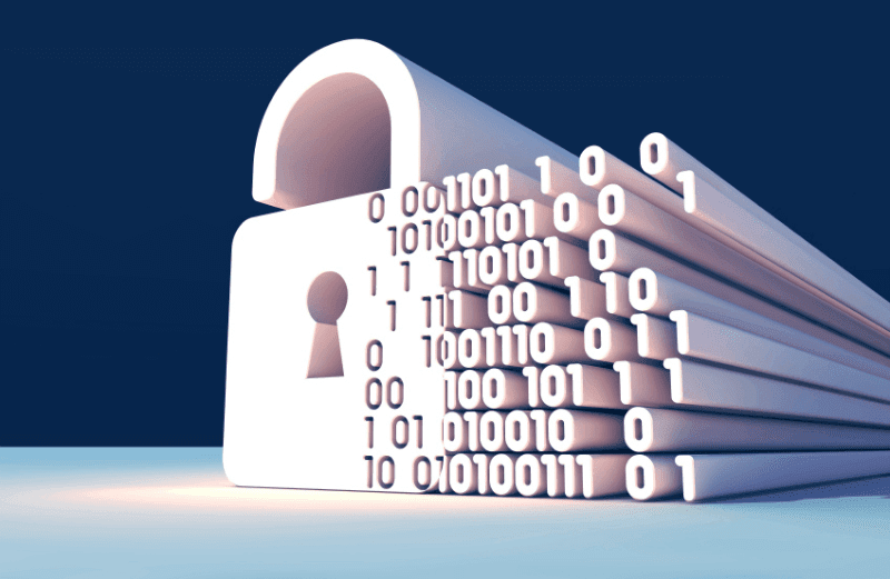 Enterprise Data Privacy