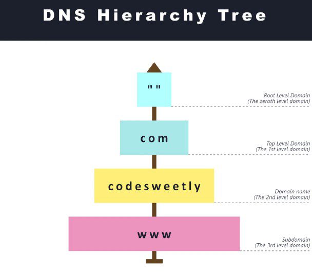 DNS Hierarchy & Domain Hierarchy: 5 Levels That Run the Web 6 DNS Hierarchy