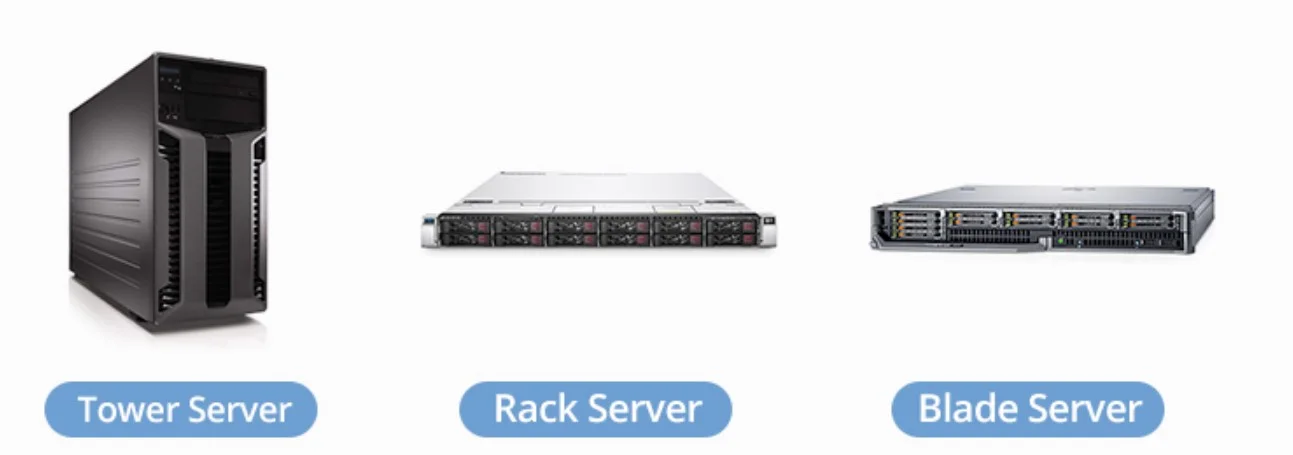 Server Infrastructure Guide: 7 Critical Facts You Must Know 5 Server Type