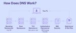 DNS Hierarchy: Everything You Need To Know - Cheap Dedicated Server Hosting